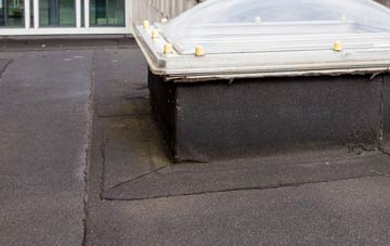 disadvantages of Brome Street flat roofs